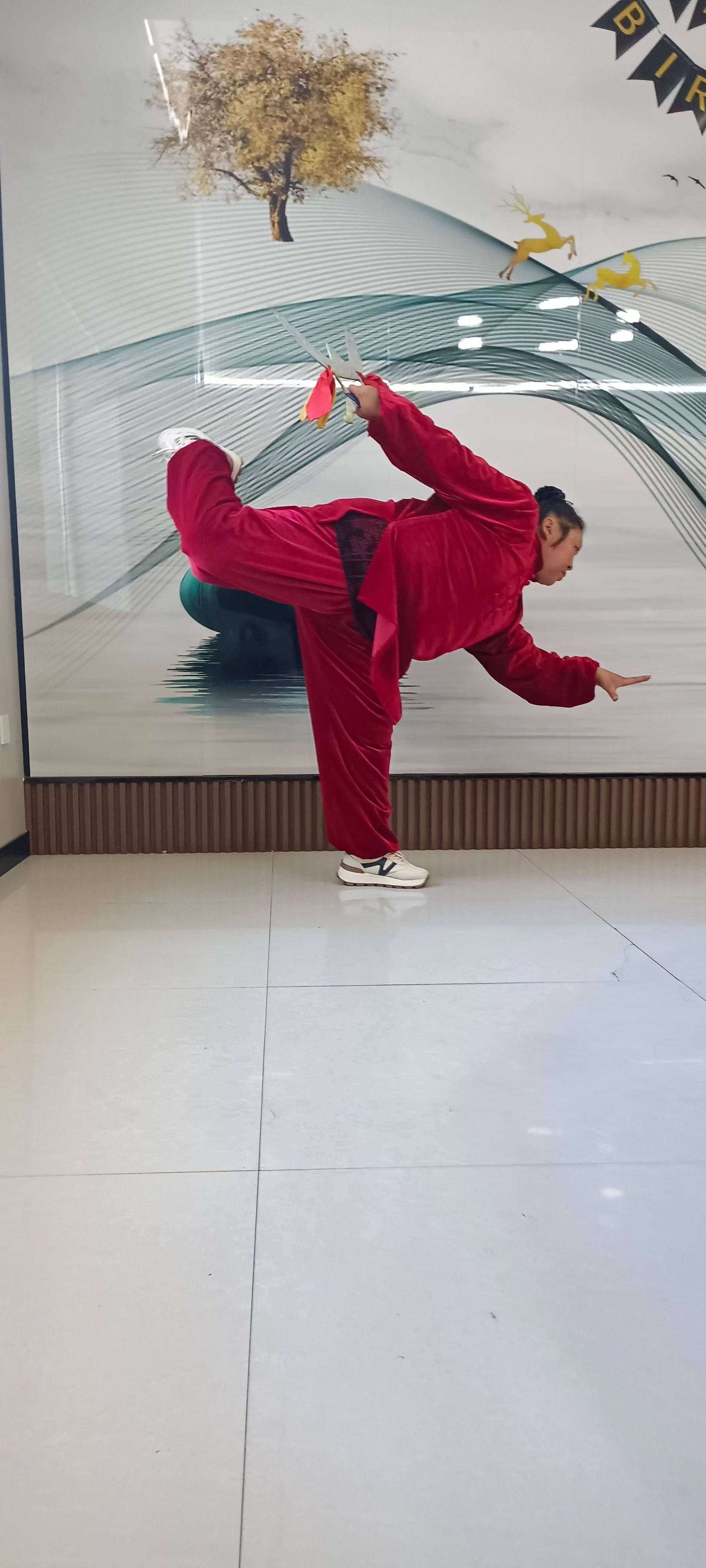 开云体育安全平台-传统武道会，展现技艺的力量与美感的简单介绍