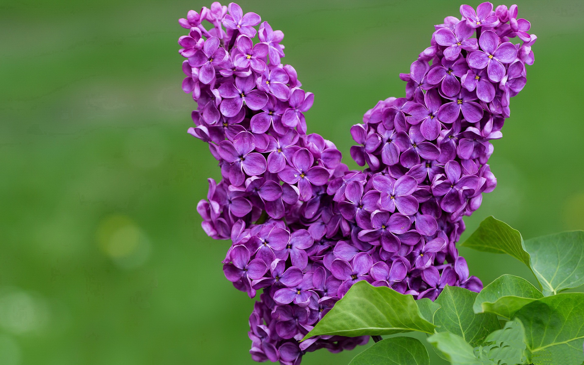 开云体育下载官网-仰泳赛场波兰选手步伐稳定，仰泳冠军的慢动作视频