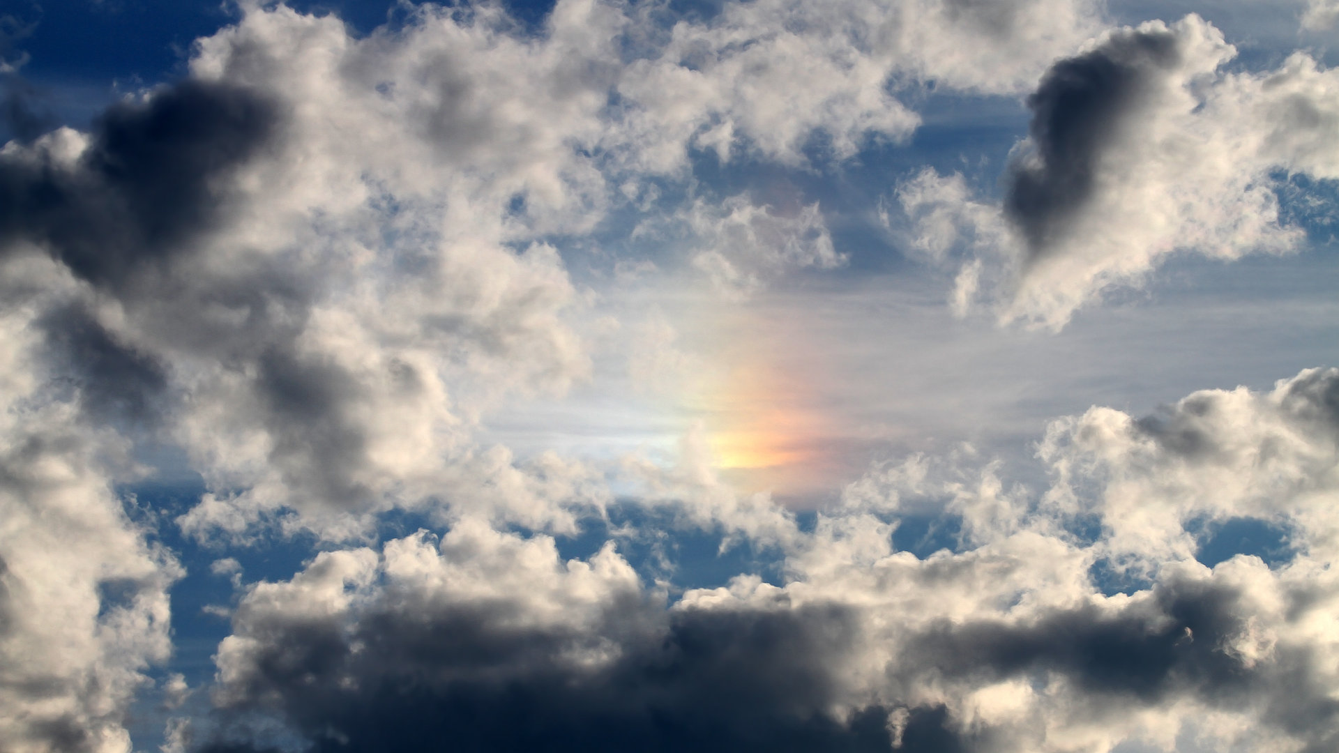 哈伦决赛状态火热不容忽视，哈伦是哪个国家的