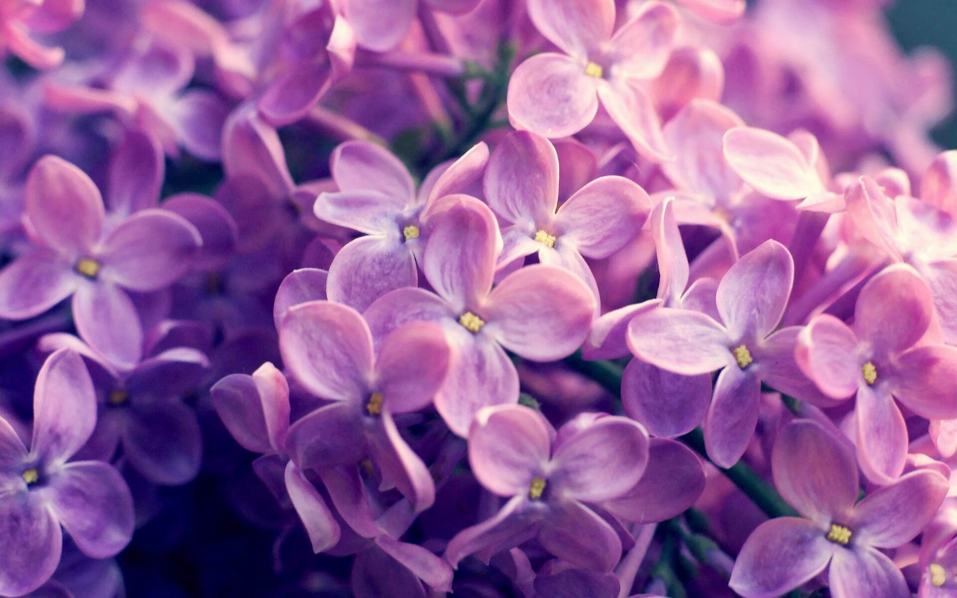 多家媒体点赞俱乐部管理理念称其为国内职业化典范样板，俱乐部赞助商怎么赚钱