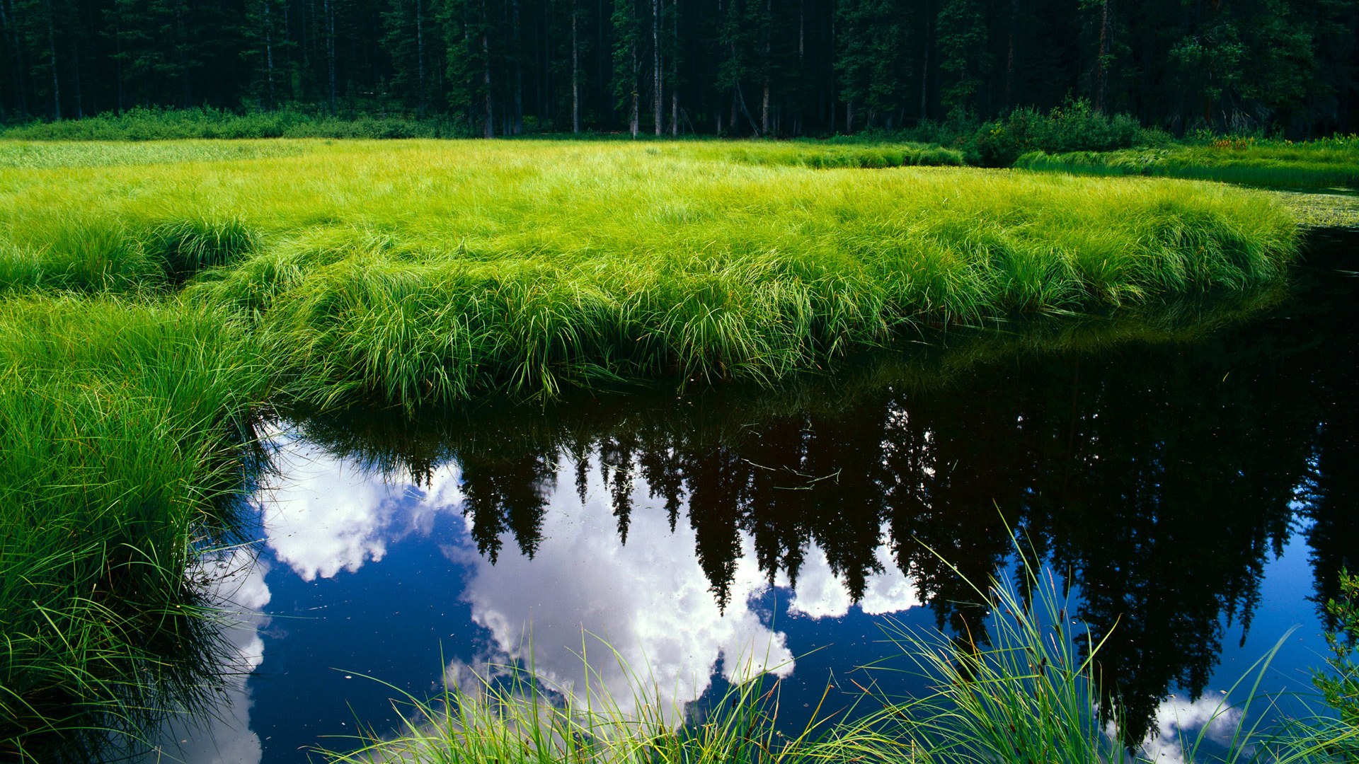 李娜新书签售现场火爆签名不断，李娜的连笔签名