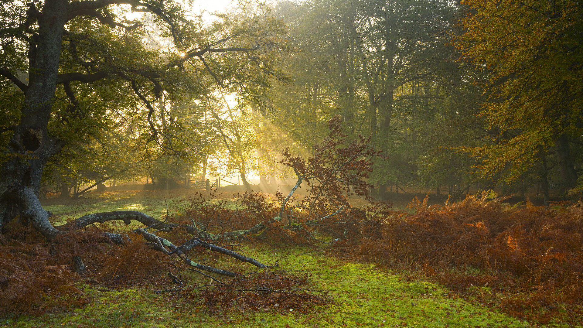 电子竞技全球赛事回顾，电子竞技赛程表