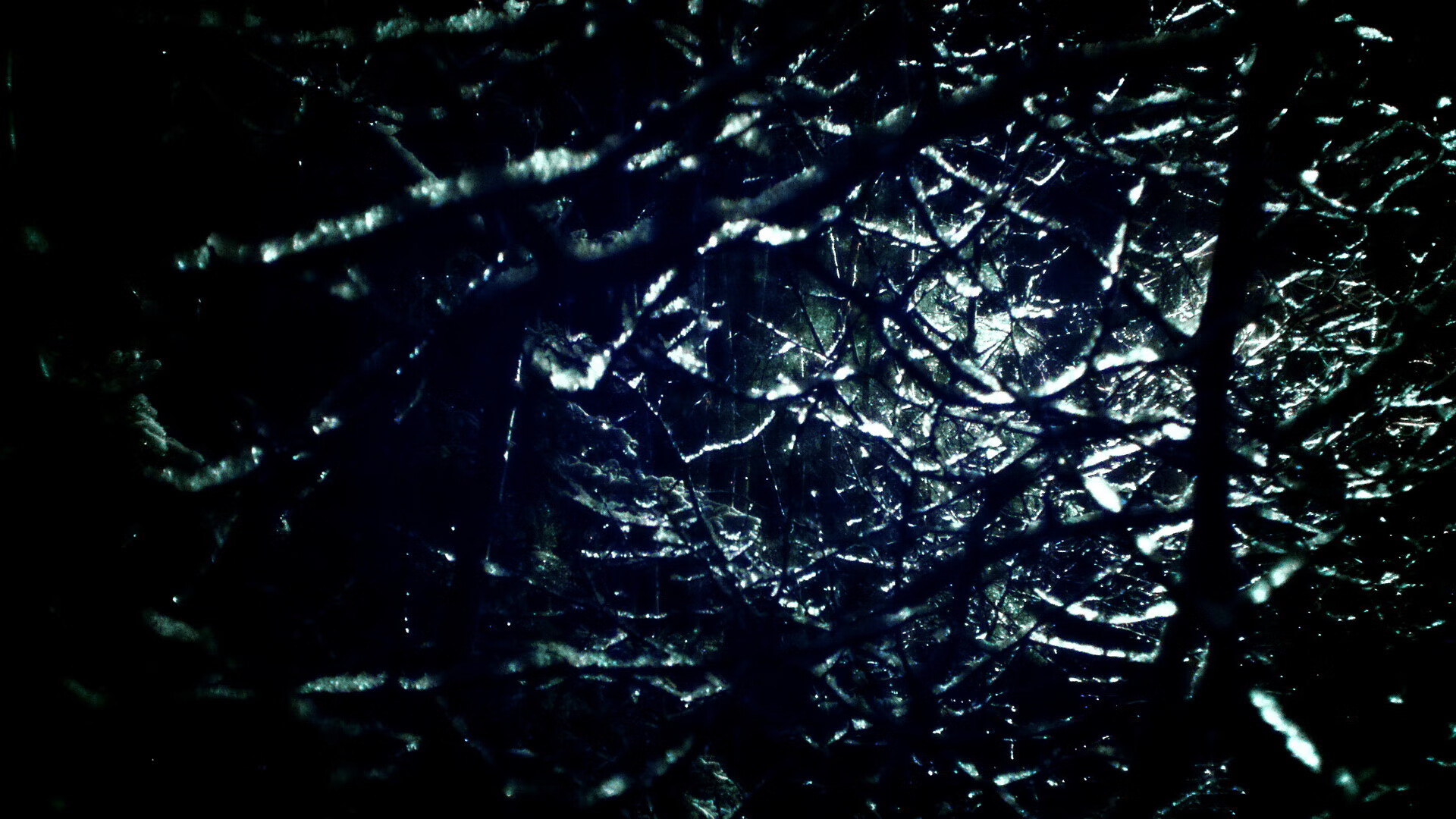 皮特·斯图斯带领南非队成功防守,实力展现无遗,斯图皮特2021