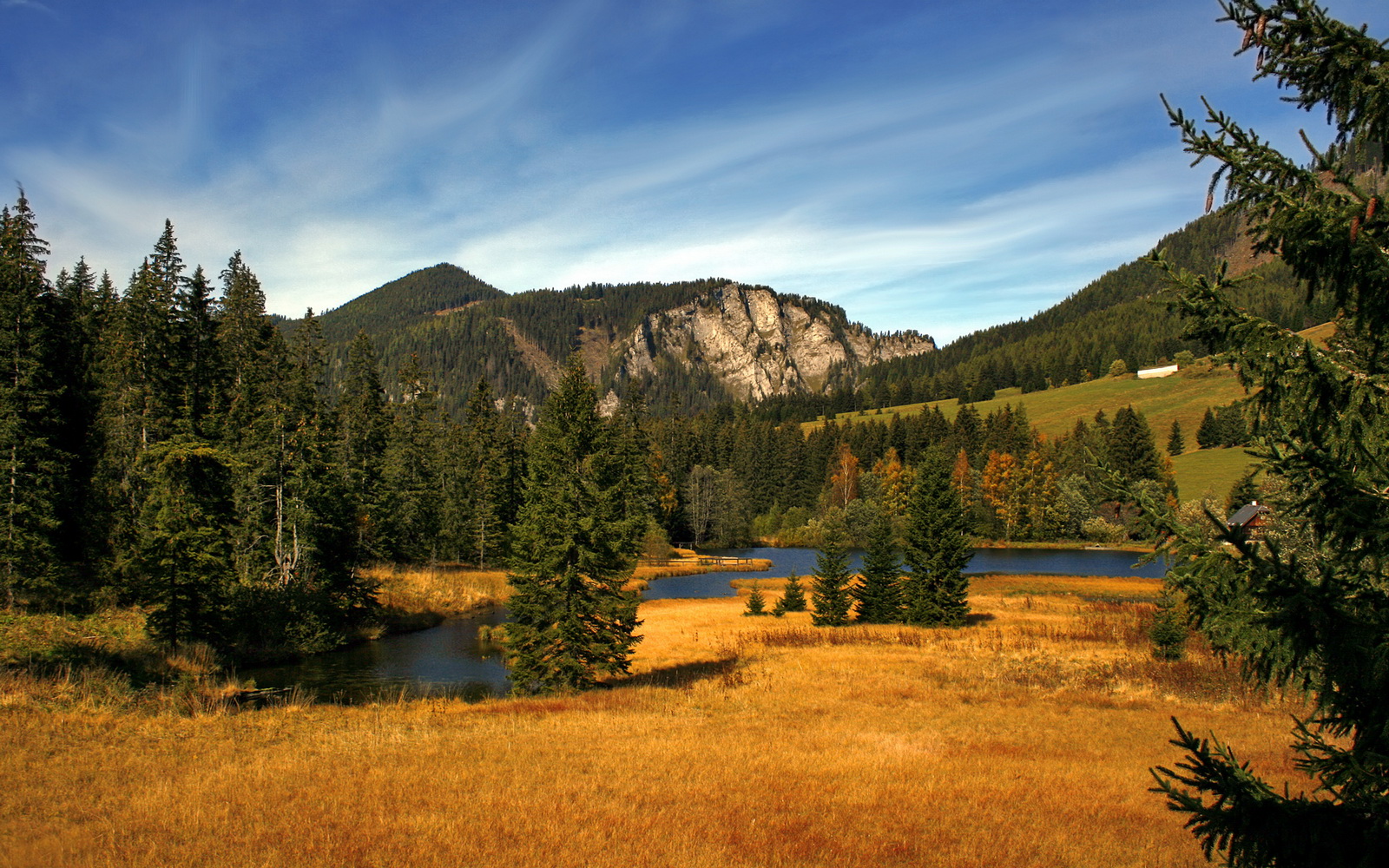 绿色低碳足球装备在全国推广，践行全民环保责任，绿色低碳活动有哪些