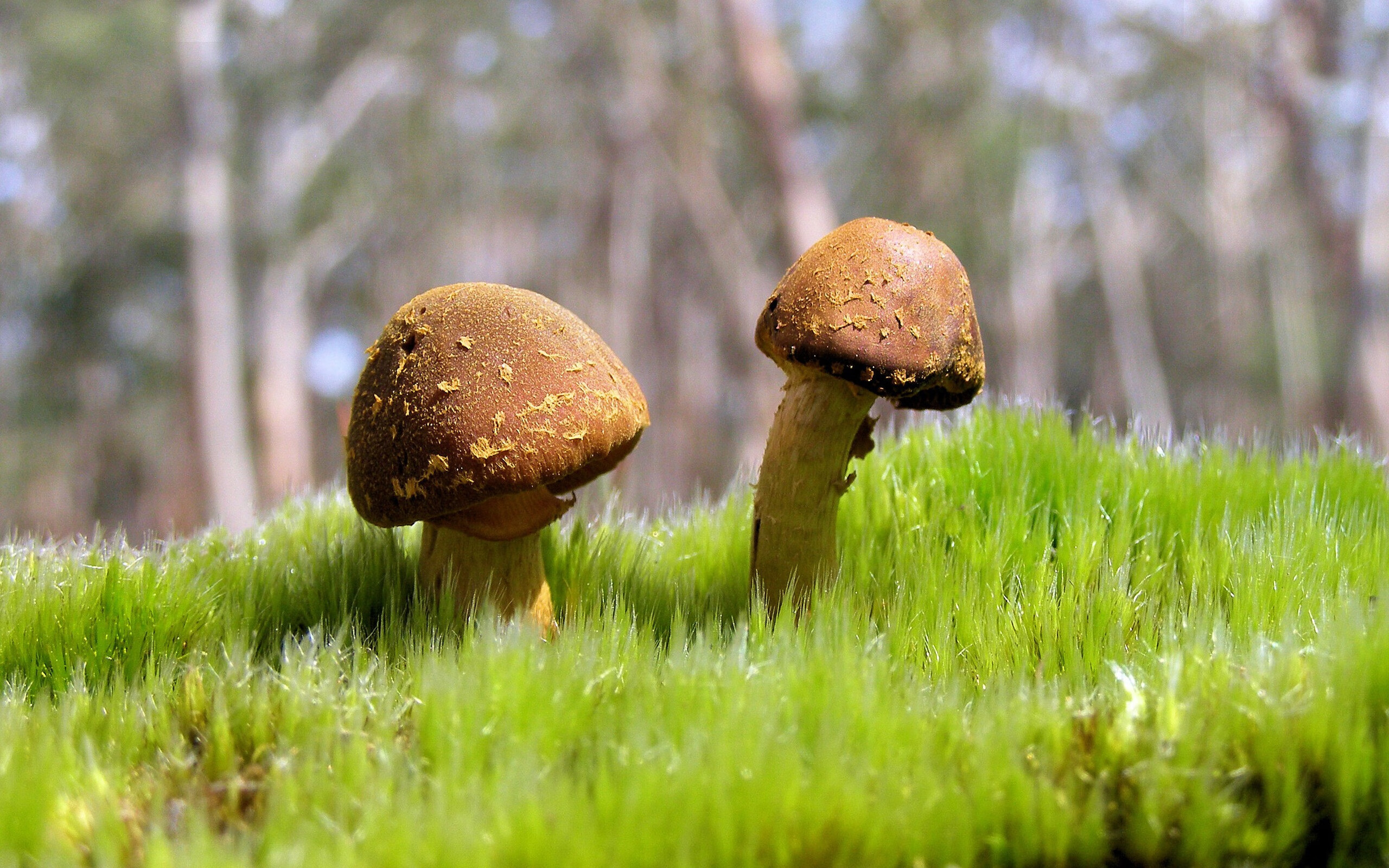 老将经验在关键比赛中发挥作用稳定全队心态